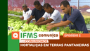 IFMS Comunica na Comunidade #Ep. 2 - Hortaliças em terras pantaneiras