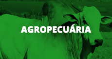 Agropecuária (link)