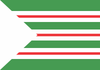 Bandeira de Nova Andradina (Simplificada)